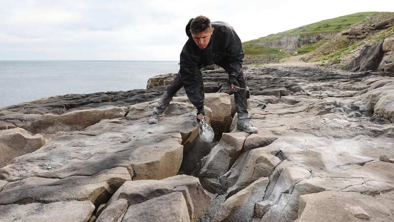 Incredible earth mural of Triceratops appears at a Jurassic Coast quarry