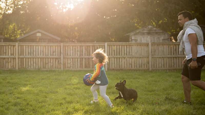 There was a dog in a playground for children - and the dad wasn