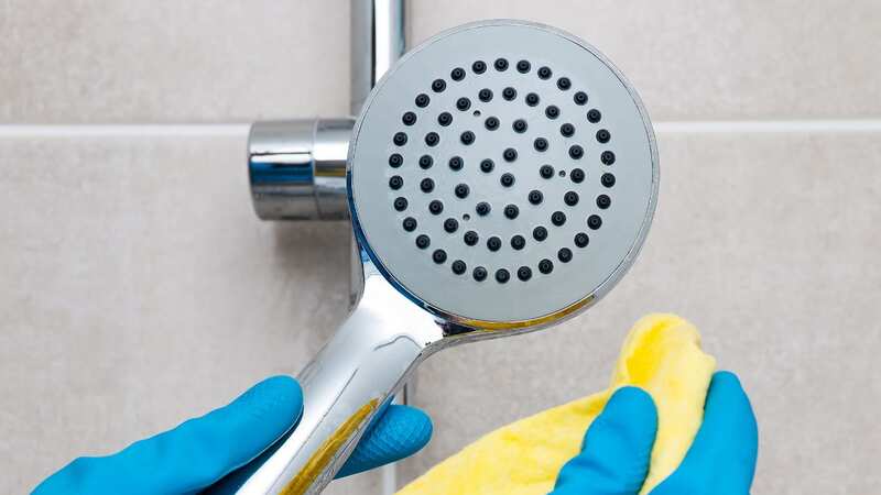 Cleaning your showerhead regularly is really important (Stock Image) (Image: Getty Images/iStockphoto)
