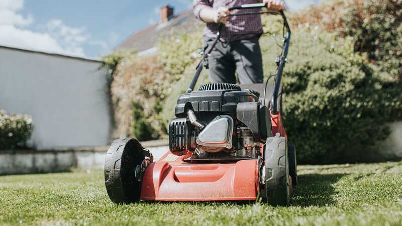 Her neighbour was mowing the last at 8am on a bank holiday (stock image) (Image: Getty Images)