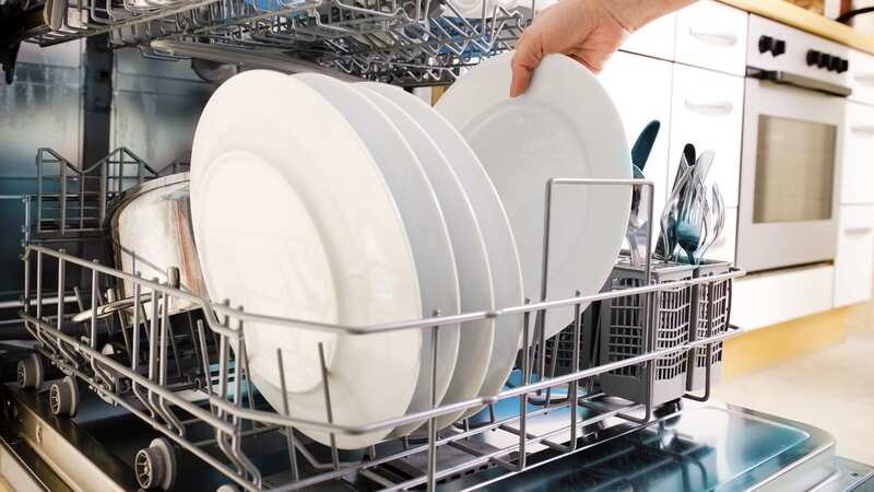 Loading the dishwasher is a relatively easy chore, so people were horrified when they saw one man
