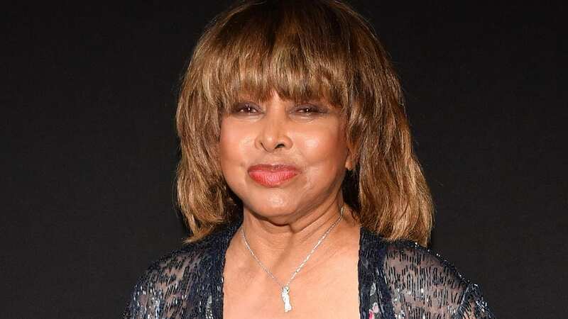 Tina Turner died before getting the chance to meet her grandchildren