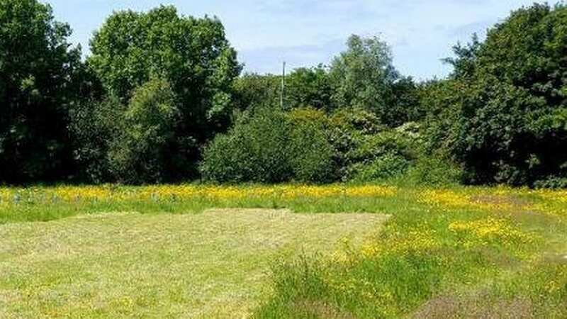 The family left behind unsightly waste and damage (Image: Central Swindon North Parish Cou SWNS)