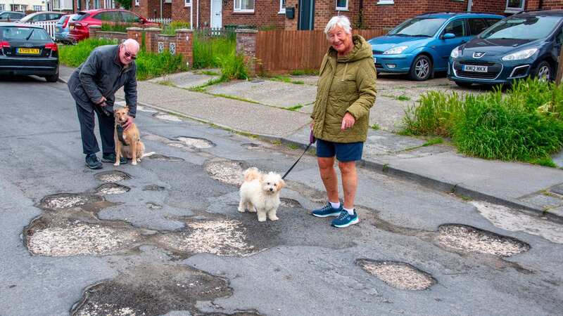 Dogwalkers say they try to avoid crossing the road in Witham, Essex, in fear their animals might get hurt (Image: JOHN McLELLAN)