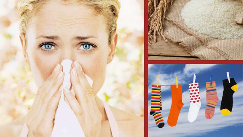 Many of us suffer with hay fever, with nearly a third of Brits having it so bad they need to alter their lifestyle to manage symptoms. (Image: Getty Images)