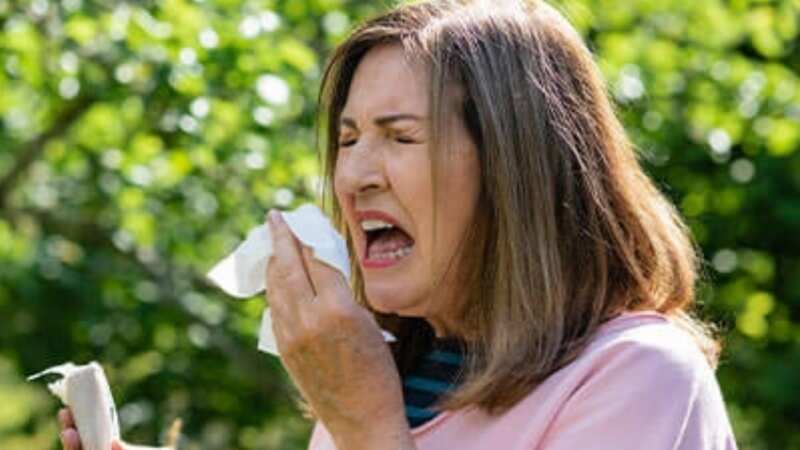 Manage your hayfever symptoms with one of these over the counter remedies (Image: Boots)