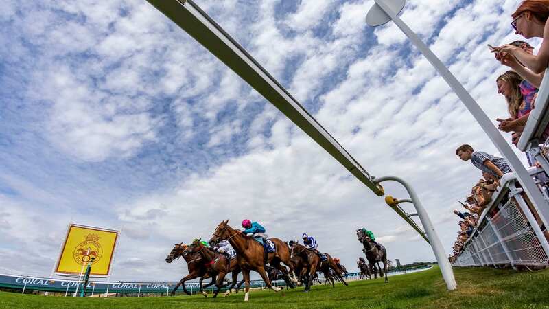 Goodwood hosts a seven-race card on Friday evening, where Newsboy