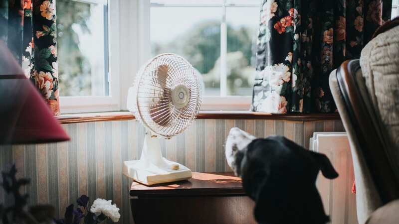 There are far safer ways to cool down this summer (Image: Getty Images)