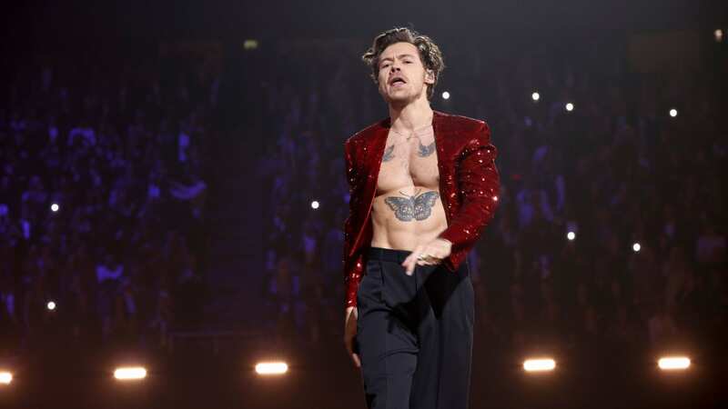 Harry Styles rushes to fan