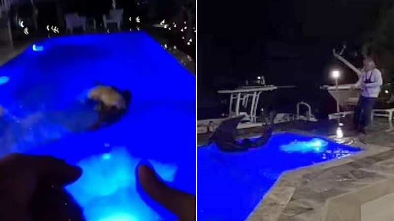 Huge 10ft crocodile swimming in Florida pool hisses and thrashes at rescuers