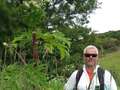 Urgent warning after man burnt when exposed to Britain's 'most dangerous plant' dqxikeidqkikdinv
