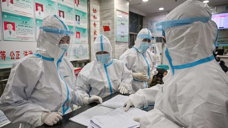 Wuhan scientists 