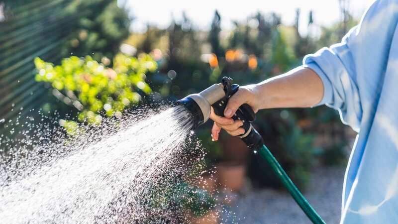 Many gardeners across the country will be facing a hosepipe ban this summer (Image: Getty Images/Westend61)