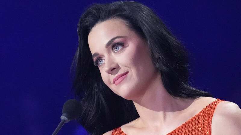 Katy Perry left fans in awe of her Catwoman impression
