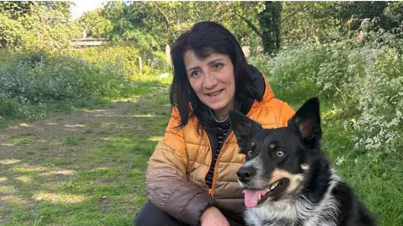 Edinburgh dog walker Daniela Stoyanova and her border collie Bubba were out for a walk in Dalry Cemetery when she stood on a needle