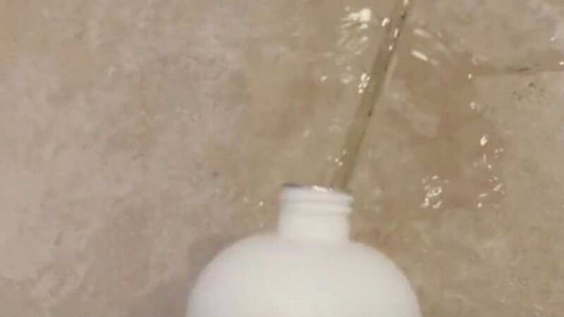 The hack cleaned everything with no scrubbing (Image: TikTok/livecomposed)