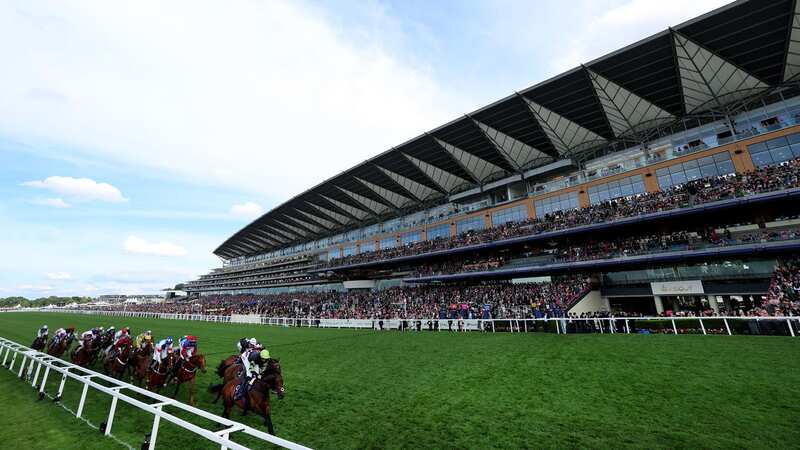 Royal Ascot steward hospitalised after being kicked in head by horse