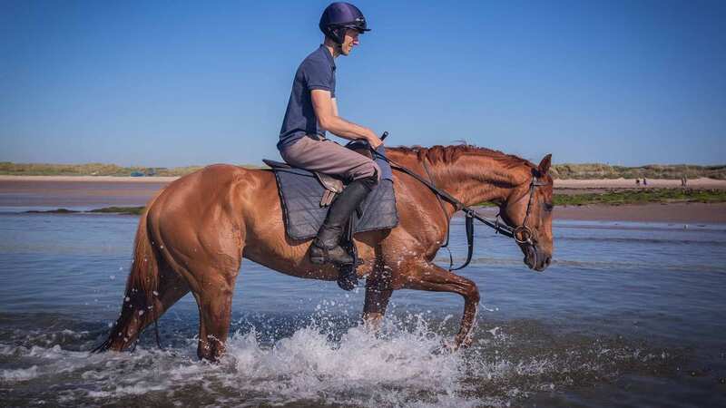 Adam Nicol exercising Wise Eagle on the beach at Seahouses (Image: Megan Geddis/MHGPhotography/GreatBritishRacing)