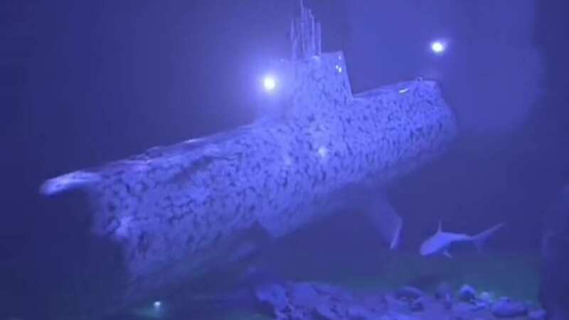 Devastating video shows what would have happened to Titanic sub when it imploded