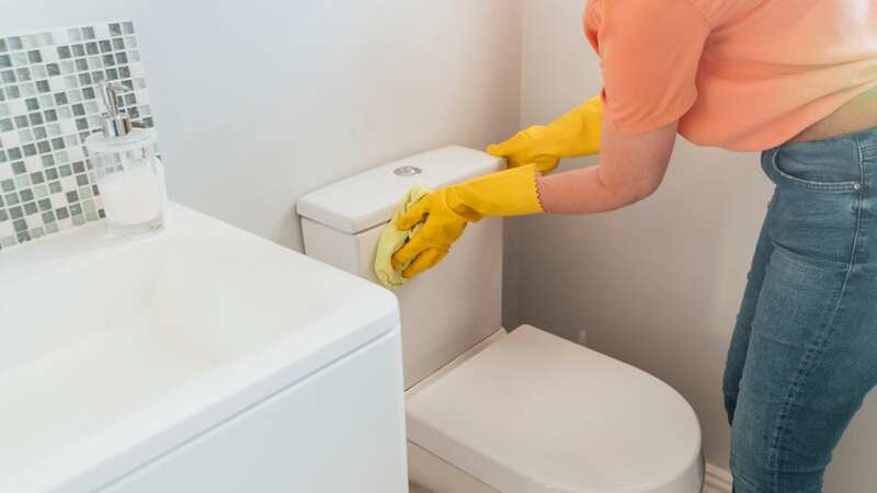 Cleaning your toilet doesn