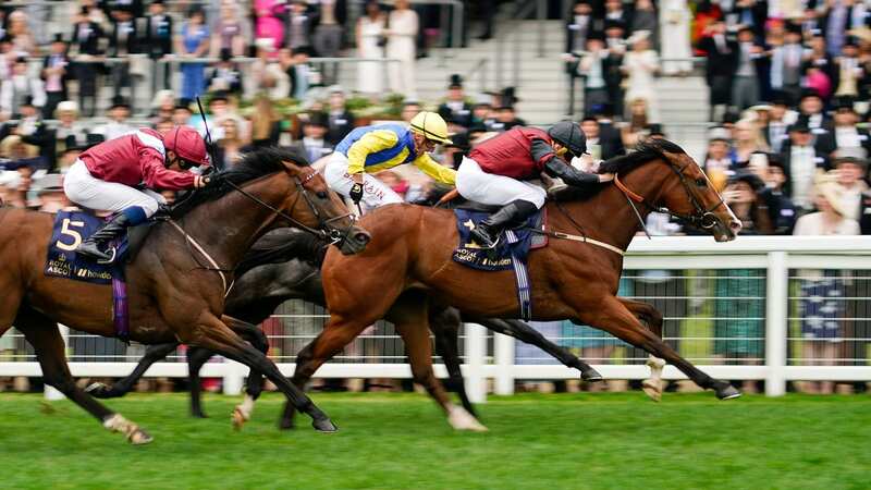 Royal Ascot 2023: Newsboy