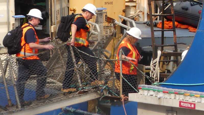 The MV Polar Prince returns to St John’s Harbour, Newfoundland (Image: Daily Mirror)