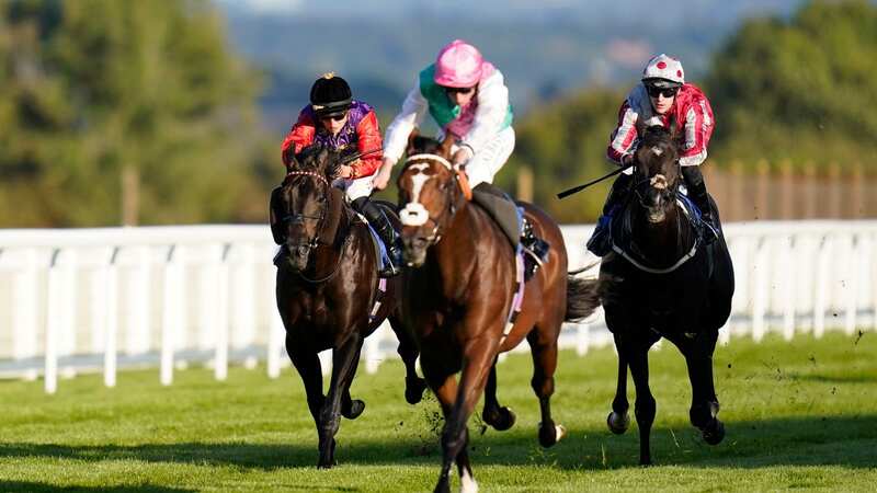 Salisbury racecourse hosts a seven-race card on Wednesday where Newsboy