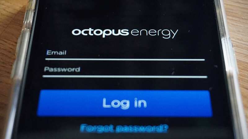 Octopus Energy has completed its transfer of 1.5million Bulb former Bulb customers (Image: AFP via Getty Images)