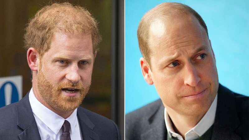 Princes William and Harry join forces to deliver emotional message amid fallout