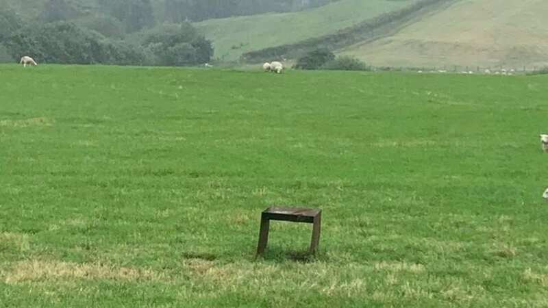The campers were unhappy with the amount of sheep at the field they were staying at in North Wales