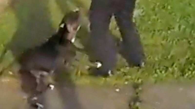 Terrifying moment American XL bully dog charges at police officers during raid