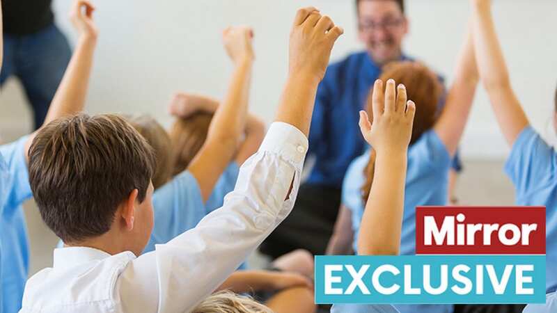 Experienced teachers and heads will work with schools to help them improve following inspections (Image: Getty Images)