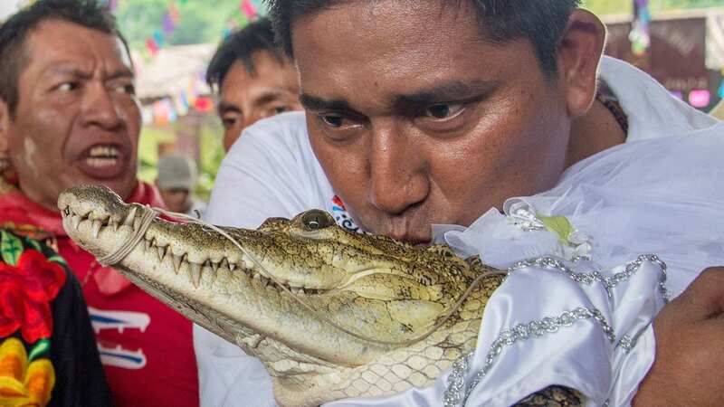 Mayor of San Pedro Huamelula Victor Sosa kisses a reptile during the traditional Wedding (Image: Luis Villalobos/EPA-EFE/REX/Shutterstock)