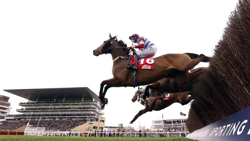 Kiltealy Briggs, nearest, in action at the 2022 Cheltenham Festival (Image: PA)