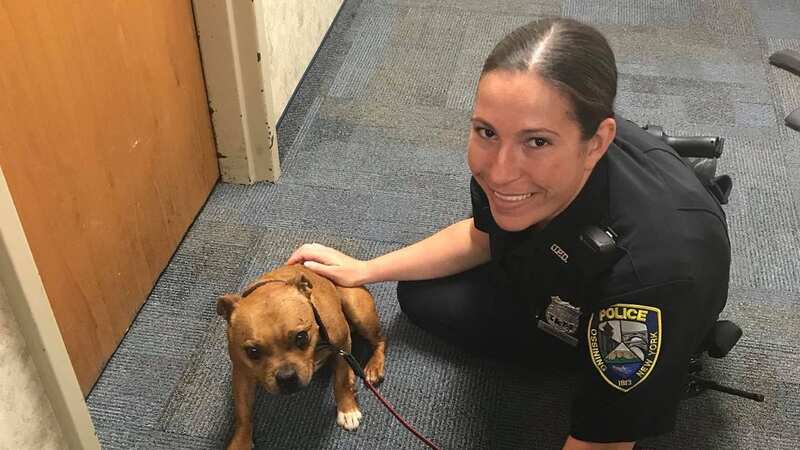 Emily Hirshowitz, 36, has been charged over the incident (Image: Facebook/Ossining Police Department)