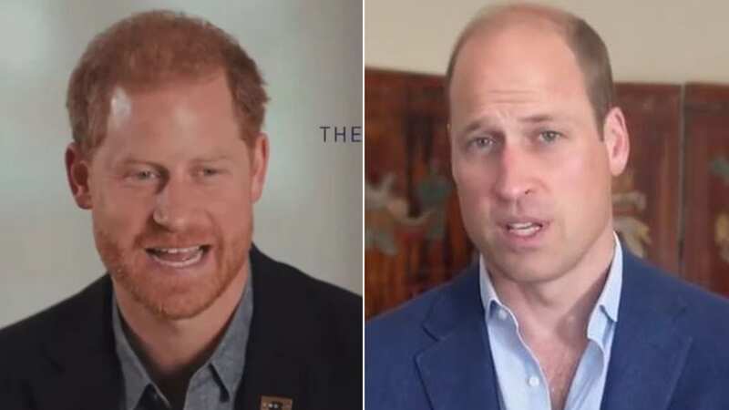 Princes William and Harry seemingly reunited last week, albeit virtually
