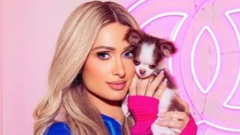 Paris Hilton shares adorable new addition to the family months after heartbreak