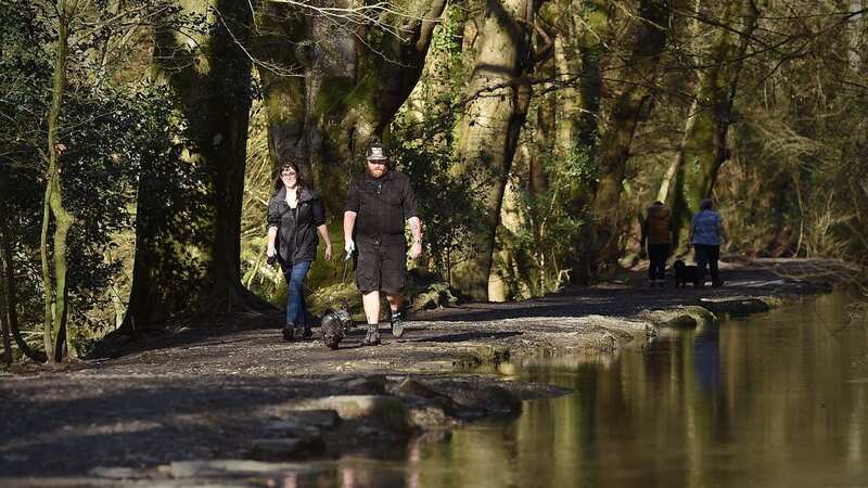 The children, aged six and 11, fell ill last weekend (Image: Matt Gilley/PlymouthLive)