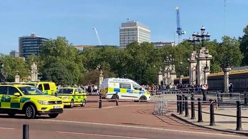 Man handcuffs himself to Buckingham Palace gates as medics negotiate with him