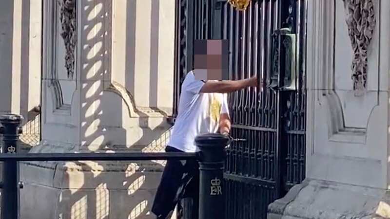 Police were called to Buckingham Palace on Thursday (Image: caty_price/Twitter)