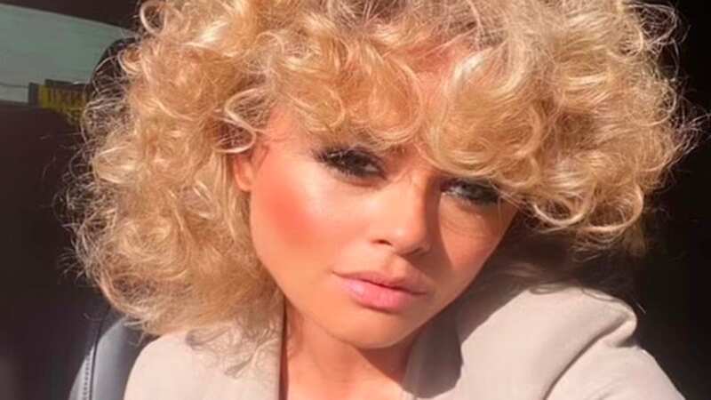 The TV star looked incredible after her retro transformation (Image: Instagram)