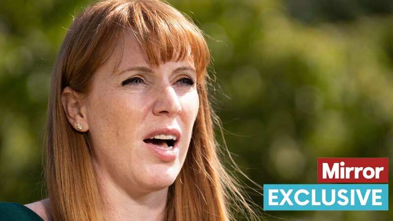 Ms Rayner is set to vow the new body will have the power to take swift effective action at the "first whiff" of misconduct by ministers. (Image: Newcastle Chronicle)