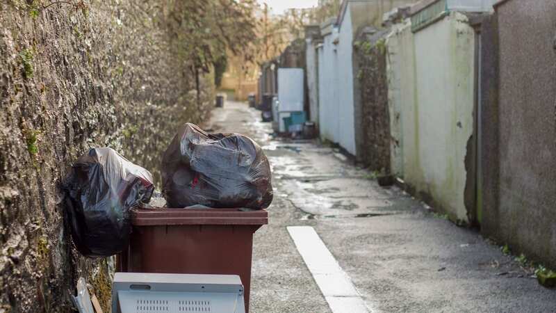 The parent is fed-up with their messy neighbour (stock photo) (Image: Getty Images/iStockphoto)