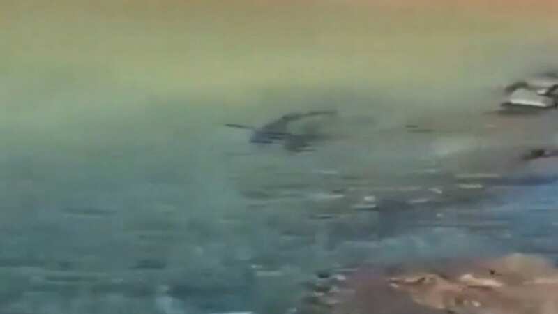 The sinister pair swam around together as fearful beachgoers jumped out of the water - but the sharks left in peace (Image: EL PERIODICO)