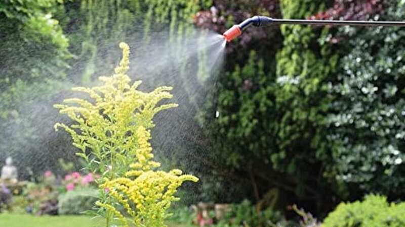 The Spear & Jackson Pressure Sprayer is just £12.99 on Amazon (Image: Amazon)