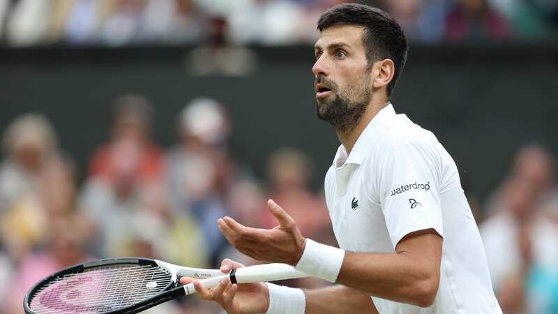 Novak Djokovic protested his innocence after the umpire stunned those watching with the 