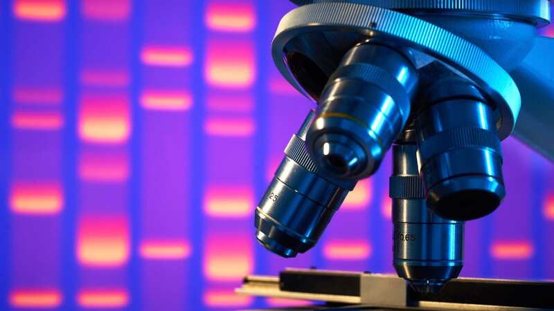 Strands of DNA are used as building blocks to create the cells (Image: Western Mail and Echo Ltd.)