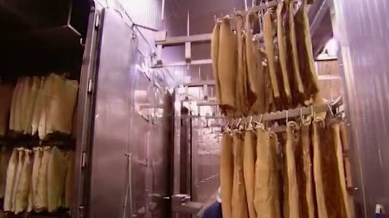 Bacon lovers squirm as they see grisly process for making processed meat
