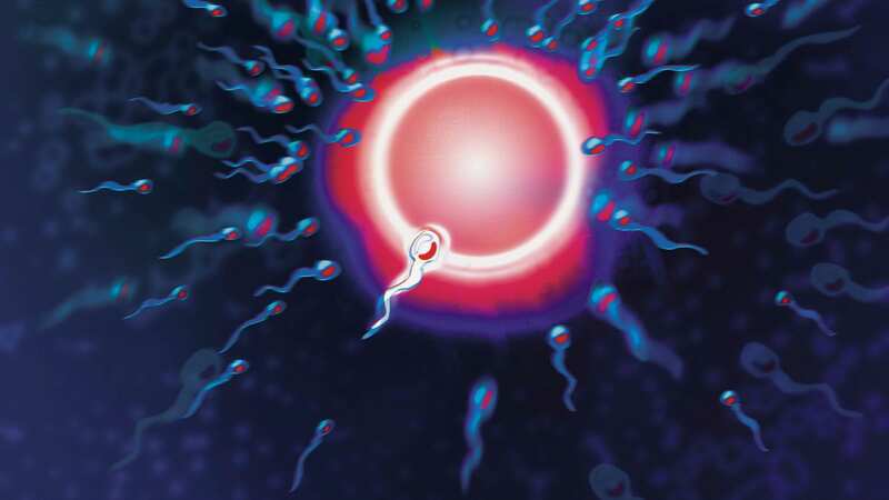 Sperm count used to be the big focus for fertility levels (Image: Getty Images/Image Source)