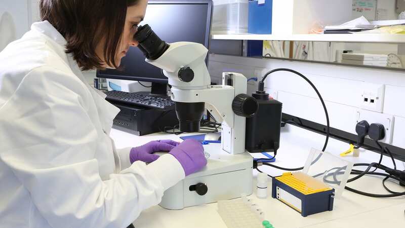 Cancer specialists the Royal Marsden Hospital is working with AI firm Automata (Image: Universal Images Group via Getty Images)